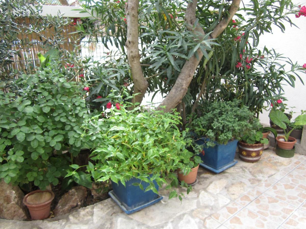 Apartments Villa Bella Vista Hvar Hvar Town Dış mekan fotoğraf